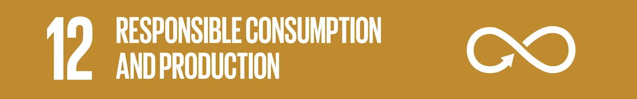 Goal 12: Responsible Consumption and Production