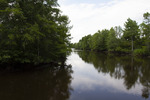 A Bend in the Waccamaw River by The Athenaeum Press