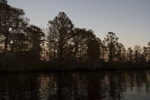 Sunset Through Trees on the River by The Athenaeum Press
