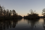 Sunset Through Trees on the River 4 by The Athenaeum Press