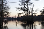 Sunset Through Trees on the River 8 by The Athenaeum Press