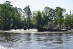 Waccamaw River at Entrance of Sandy Island Canal From Waccamaw River by The Athenaeum Press