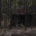 Tin Barn in the Woods