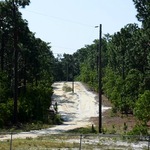 New Bethel Missionary Baptist Church 6: Dirt Road