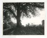 A photo of a girl sitting under and leaning against a Live Oak tree with the old Conway High School in the background by Lonnie W. Fleming Sr.