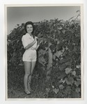 A woman in shorts and picking berries from vines by Lonnie W. Fleming Sr.