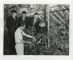 Four suited gentlemen observing a herbologist in a green house by Lonnie W. Fleming Sr.