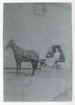 Photo of a man and woman in a carriage pulled by one horse by Horry County Historical Society
