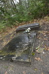 Lillies on a Grave by The Athenaeum Press