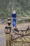 A Rusted Fence 3 by Emily Munn