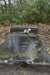 Lillies on a Grave 5 by The Athenaeum Press