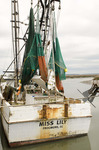 The "Miss Lily" Fishing Boat 2 by Emily Munn