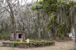 The Fripp Tomb and Graves 2 by Emily Munn